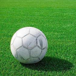 Рулонный газон Спортивный купить